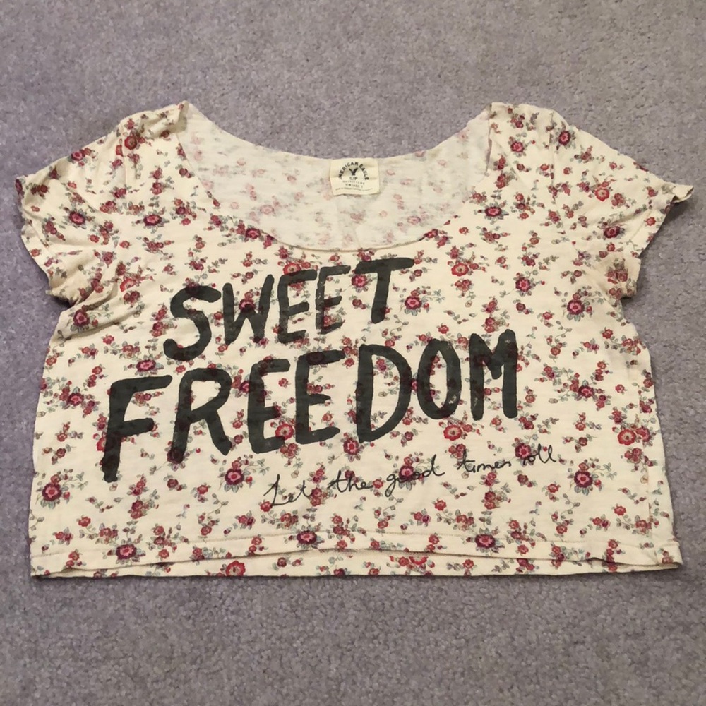 American Eagle vintage crop top